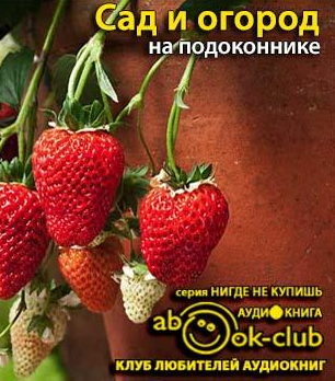 Сад и огород на подоконнике