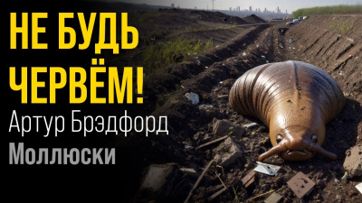 Брэдфорд Артур - Моллюски