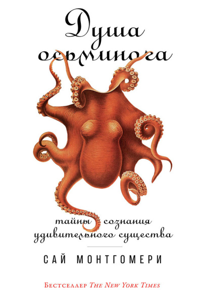 Монтгомери Сай – Душа осьминога: Тайны сознания удивительного существа