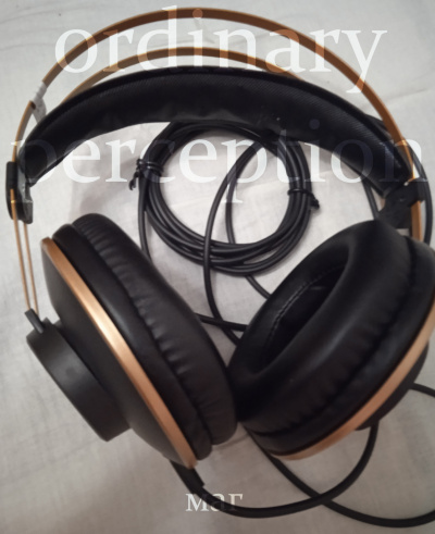 Естествов Максим (МАГ) – Ordinary perception